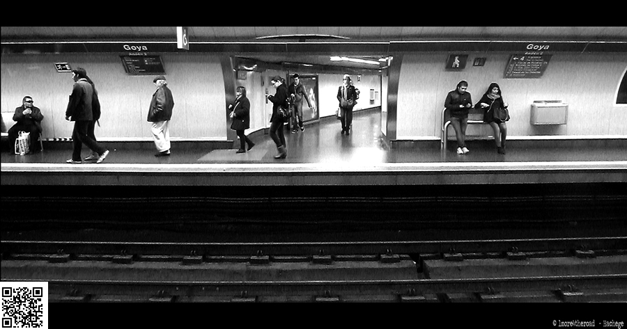 2013 02 01 Waiting Goya platform (line 2) C